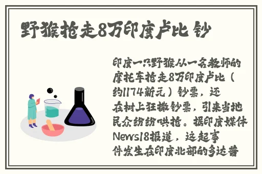 97免费线观看2018